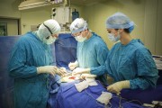 Краевая больница №1 станет международным центром обучения спинальных хирургов
