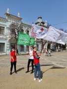 В рамках Всемирного дня здоровья в Краснодаре прошла Всероссийская акция «Будь здоров! FEST!» 