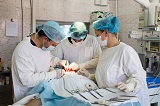 Полмиллиона кубанцев пролечили краевые хирурги